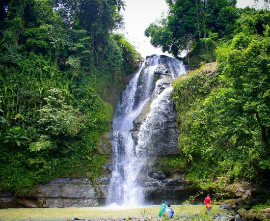 Bomber Bird Farm: Tempat Bermain Seru di Cilacap